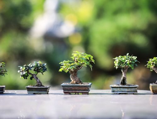 Gyakorlati passzív jövedelem ötletek Top20